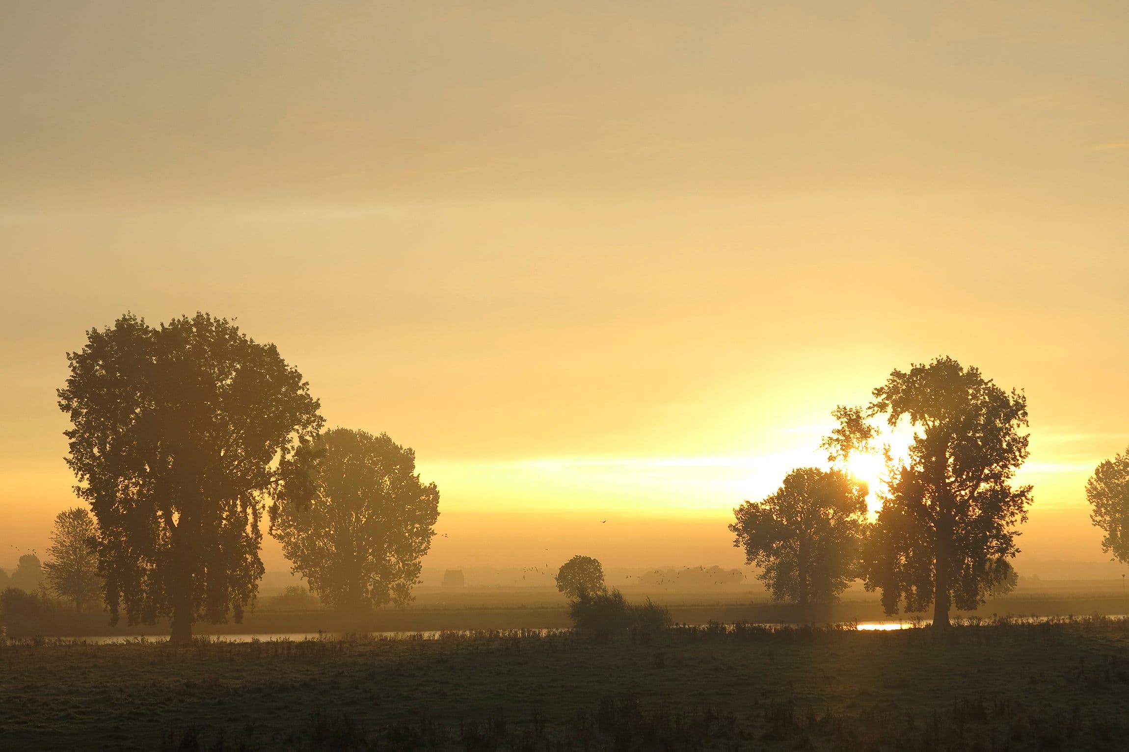 Zonsopgang over het Land van Cuijk, waar Psychologenpraktijk Vissers is gevestigd
